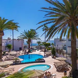 Flamingo , Puerto del Carmen (Lanzarote) Spanje